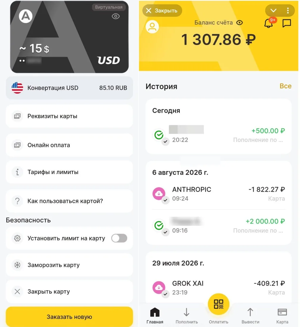 Обзор «Алтын» (Altyn Wallet) и зарубежной карты Visa