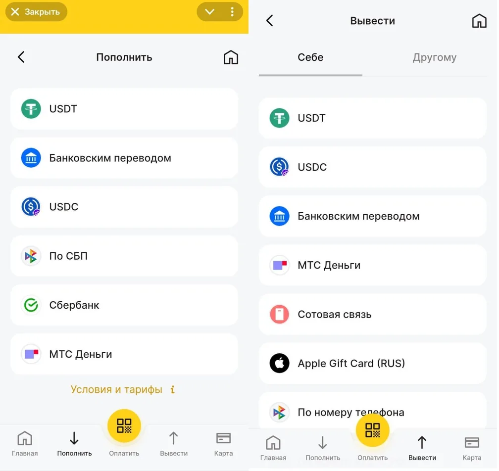 Обзор «Алтын» (Altyn Wallet) и зарубежной карты Visa